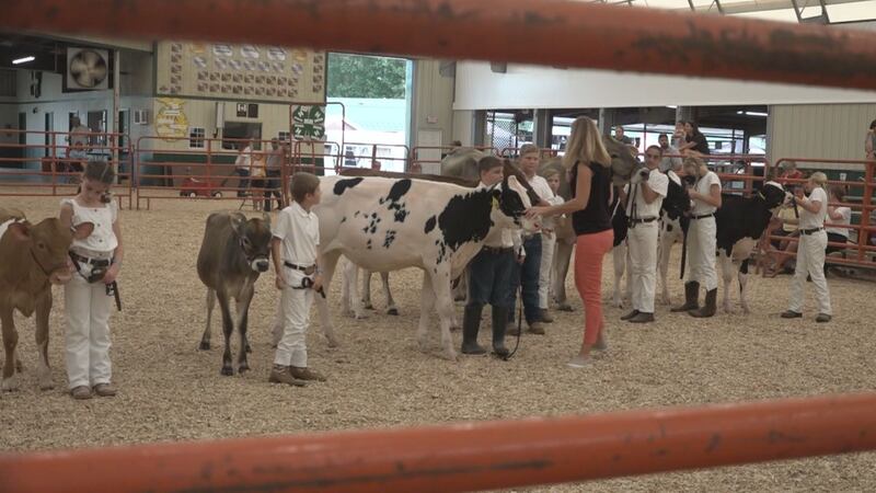 The competitions are possible with current farmers helping 4-H clubs, showing that agriculture...
