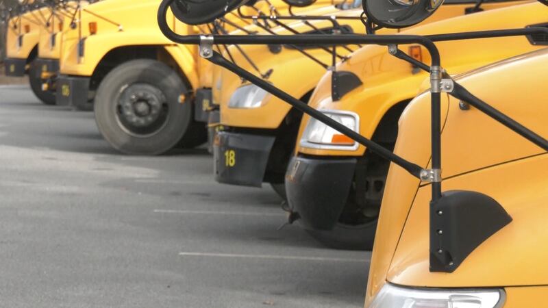 Albemarle County School Buses, parked in a lot. The county faces a severe shortage of bus...