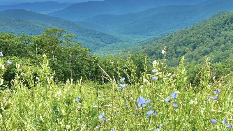 Shenandoah National Park