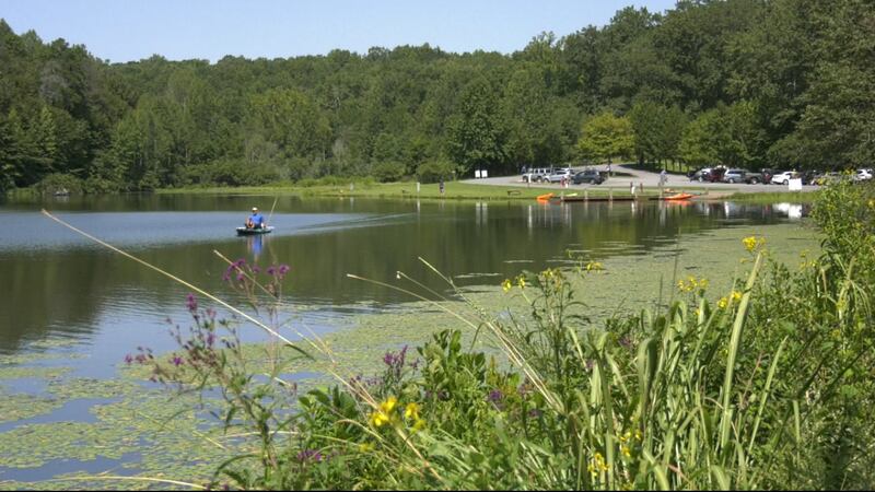 Walnut Creek park in Albemarle County.