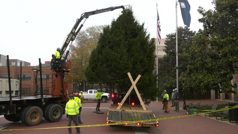 The Grand Illumination Tree arriving on Charlottesville's Downtown Mall.